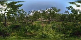 茂县农业基地图片 (29)